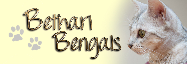 Bethari Bengal Juhi